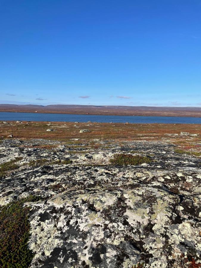 Ekkeroy Lodge - Arctic Living Vadsø Buitenkant foto